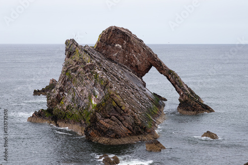 Bow Fiddle Rock With Gulls