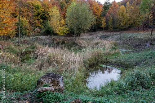 Obraz na płótnie Half-empty forest pond in autumn. Hostyn hills. Czechia. w salonie