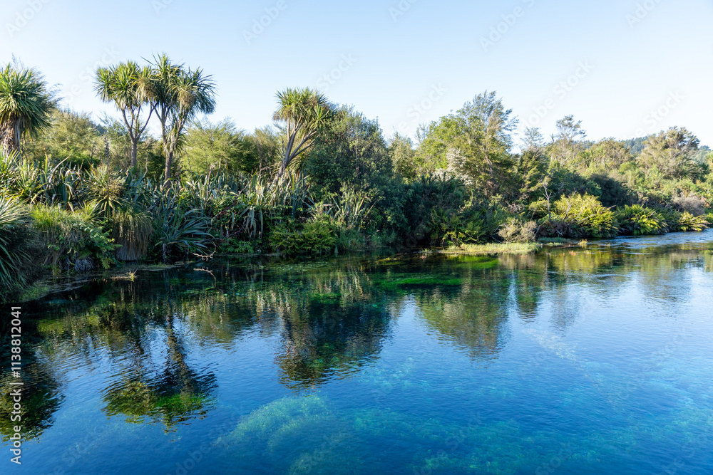 lake in the forest lake in the forest