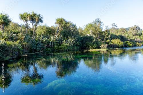 lake in the forest