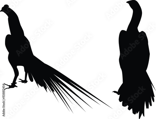 silhouette of a male and female chicken