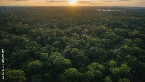 Aerial View of Lush Amazon Rainforest at Sunrise with Vibrant Green Trees and Golden Sunlight 