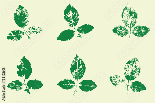 Natural leaves imprint, Grunge style, Vector, Isolated, Decorative elements for design