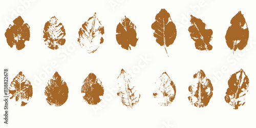 Natural leaves imprint, Grunge style, Vector, Isolated, Decorative elements for design