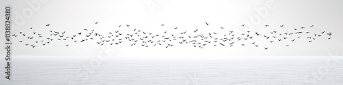 Birds in flight against clear sky, minimalistic and tranquil scene photo