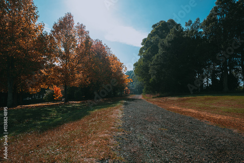 Fagan Park is a large recreational area located in Galston, a semi-rural area in Sydney, New South Wales, Australia.  photo