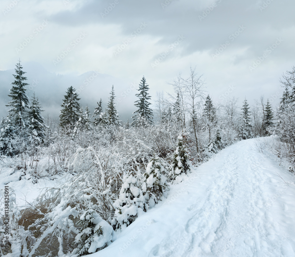 Small winter stream with snowy trees. Small winter stream with snowy trees.