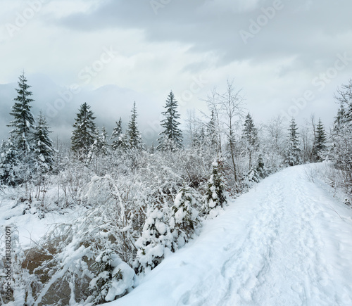 Wallpaper Mural Small winter stream with snowy trees. Torontodigital.ca