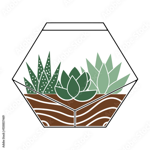 Succulent Terrarium Illustration