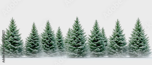 A row of snow-covered evergreen pine trees against a light gray background creating a winter forest borderline. Generative AI.