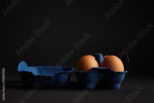 Brown Chicken egg on black background. Packaging. Free space.