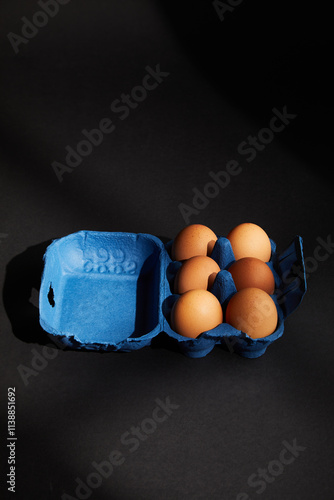 Brown Chicken egg on black background. Packaging. Free space.