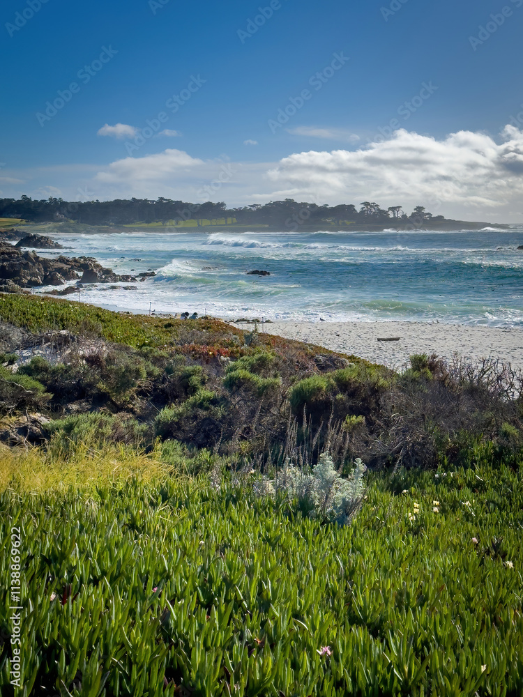 Scenic view of Pacific Ocean at Seal Rock Beach, Del Monte Forest, California, USA against blue sky with clouds