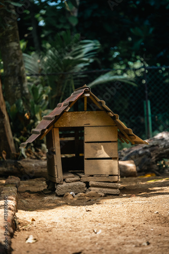 THE DOG SHELTER - SRI LANKA 