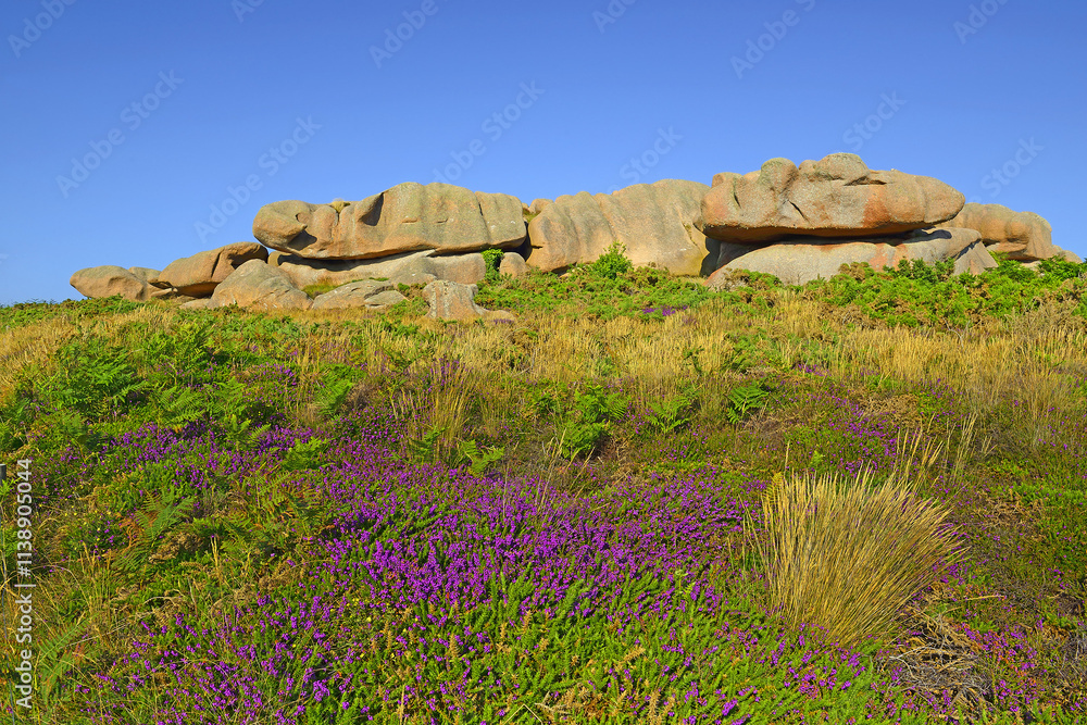Atlantic ocean coast in Brittany near Ploumanach, France. The Pink Granite Coast, so-called because of the colour of its rocks, is one of the most beautiful stretches of Brittany coastline.