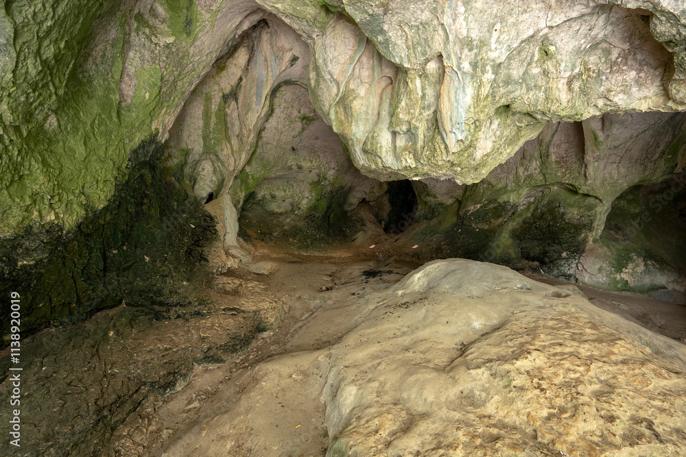 Obraz premium Cavernous rock formations in the shape of a gorge belonging to the source of the river Alviela where it is possible to watch the water