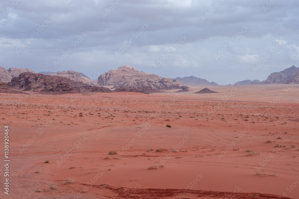 Fototapeta premium A desert landscape with a cloudy sky