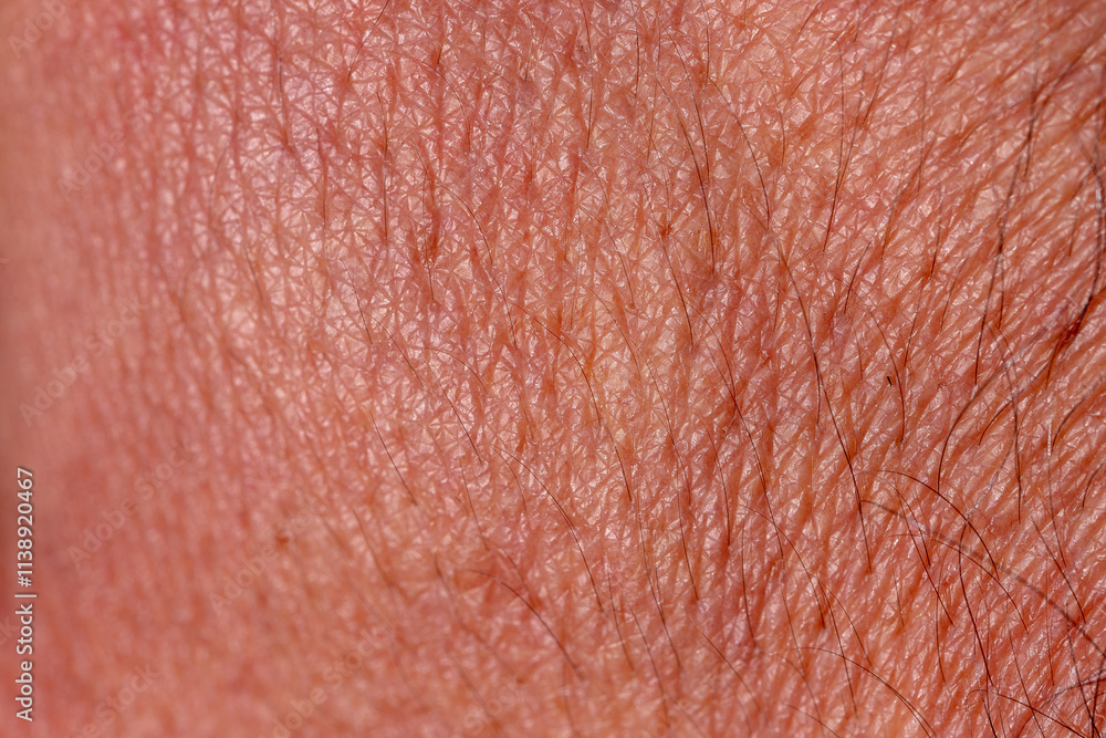Fototapeta premium Skin of human hand with pores and small visible hairs