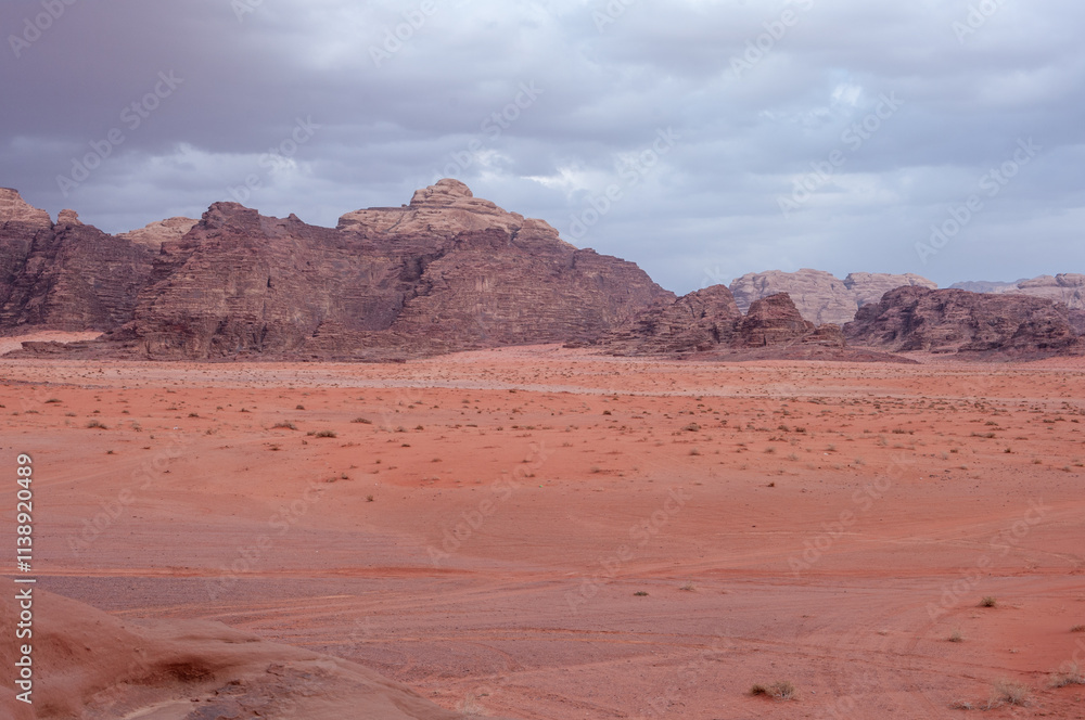 Fototapeta premium A desert landscape with a cloudy sky in the background