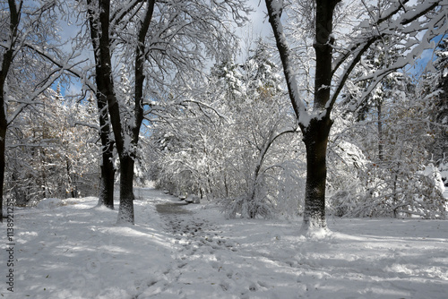 Panorama of South Park in city of Sofia, Bulgaria