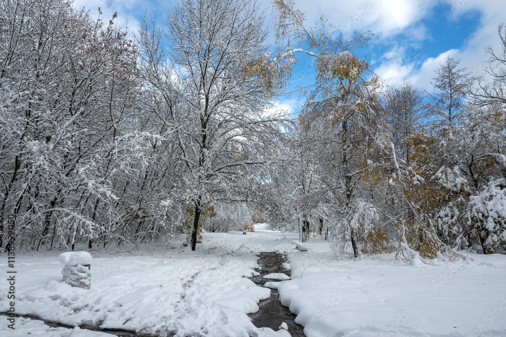 Fototapeta premium Panorama of South Park in city of Sofia, Bulgaria