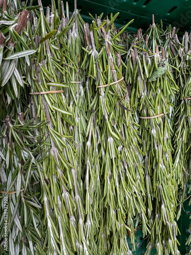 Algerian rosemary for cooking