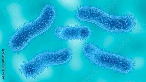 Microscopic view of the Shigella bacteria that causes a disease called Shigellosis