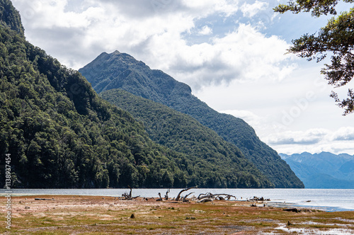 Lake manapouri te anau new zealand beautiful landscape fiordland national park hills mountains lush photo