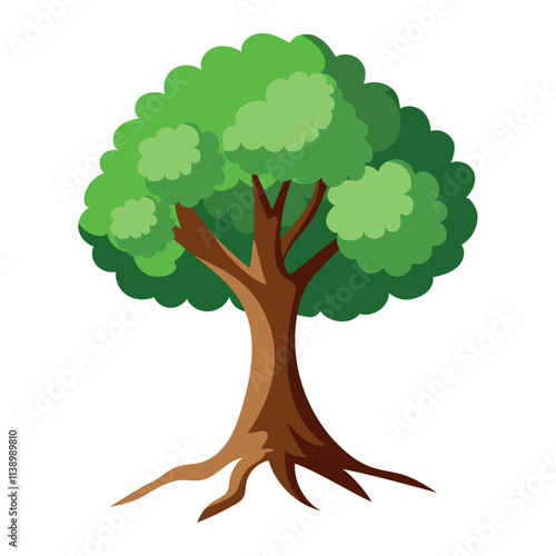 elm tree isolated