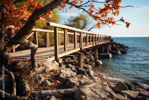 Embodies enchantment of a weathered footbridge guiding towards shore, displaying bucolic framework, gateway to utopia, and exhilarating thrill it bestows photo