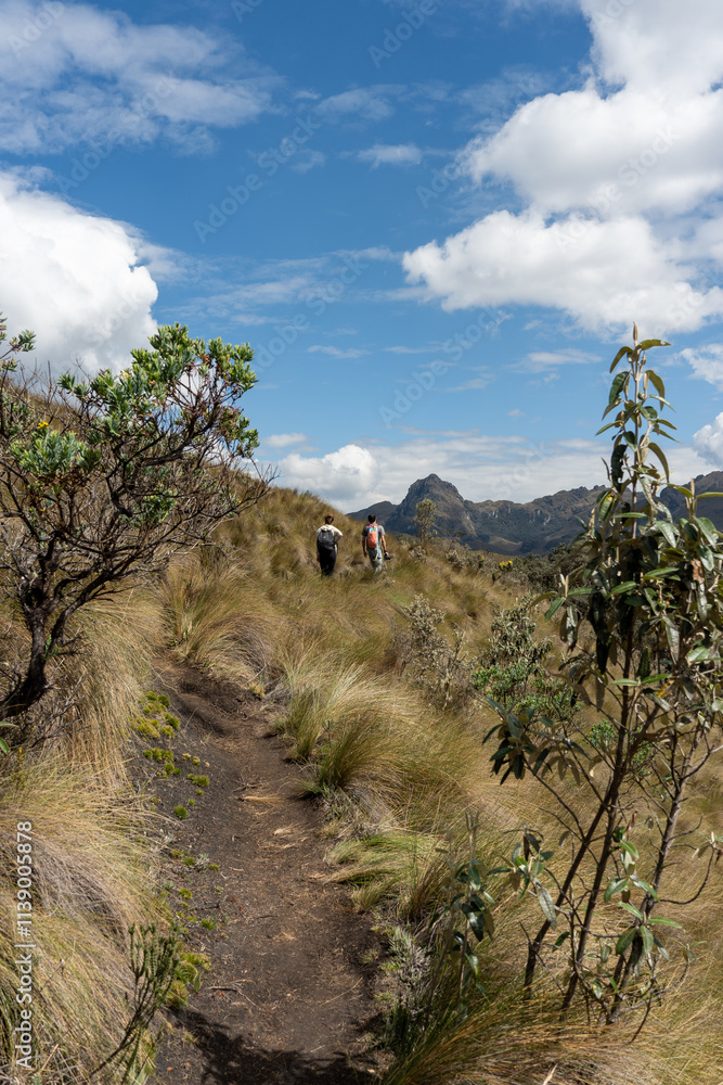 path in the mountains with hikers path in the mountains with hikers