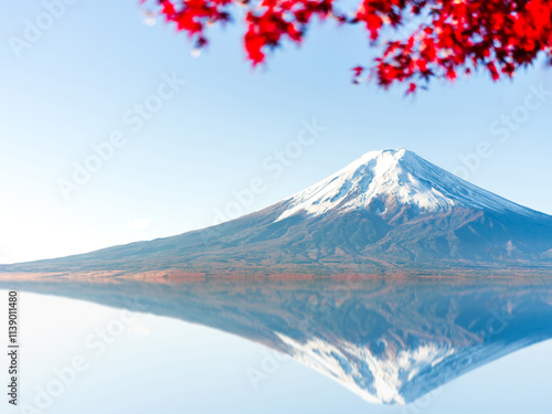 A mirrored reflection of snow capped Mount Fuji on a cold and sunny autumn winter morning with vibrant colorful red autumn Japanese maple leaves, clear blue sky, no clouds or people and copy space.