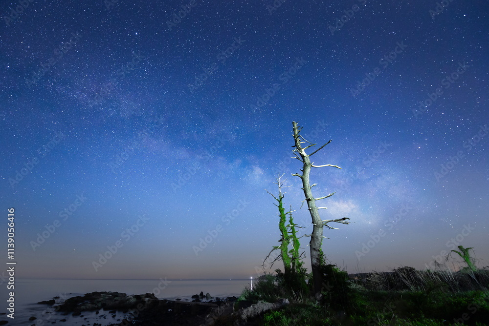 原始の風景を彷彿させる海岸と能登半島の天の川