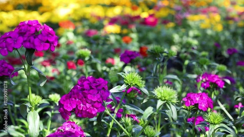 Wallpaper Mural Colorful Garden in Bangkok Park Torontodigital.ca