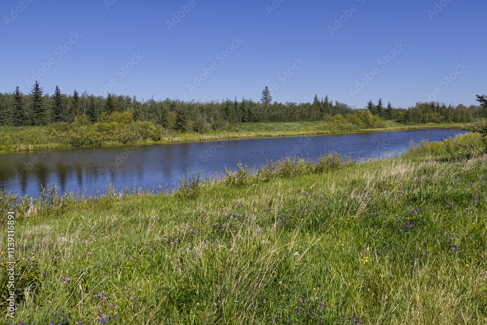 Pylypow Wetlands in the late summer Pylypow Wetlands in the late summer