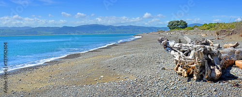 Kapiti Island Bird Sanctuary Beach Panorama, New Zealand