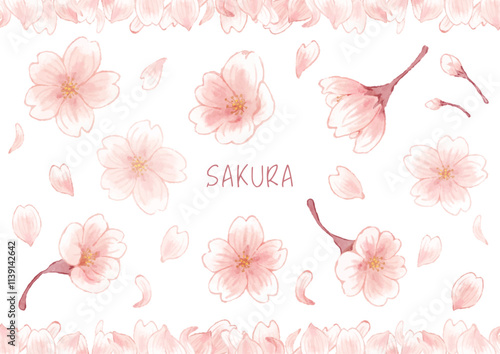 watercolor beautiful cherry blossom illustration set