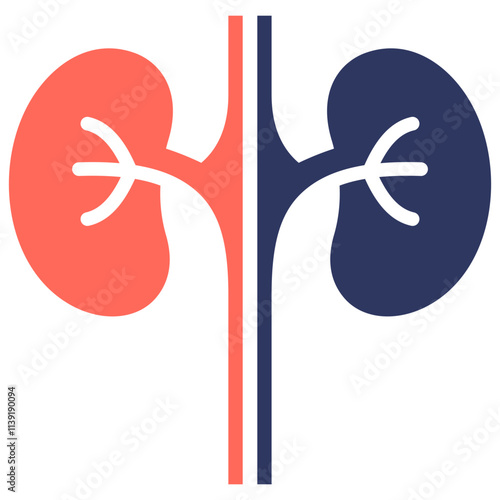 Nephrology Icon