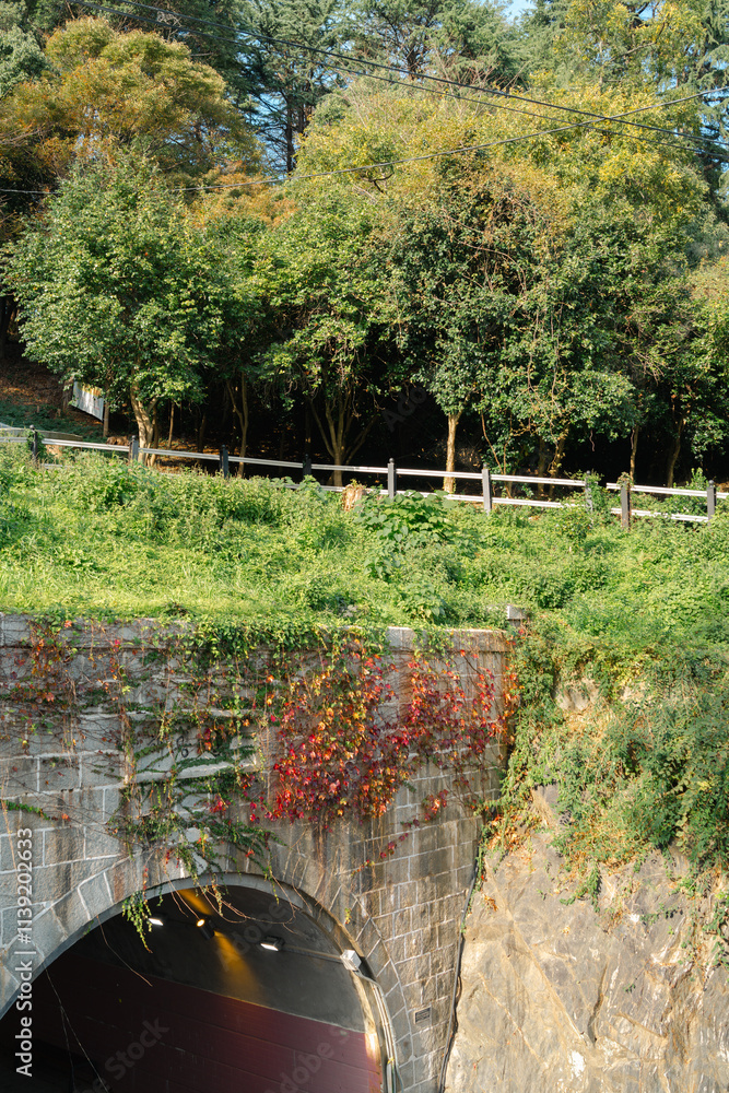 Wolmyeong Park and Haemanggul Tunnel in Gunsan, Korea
