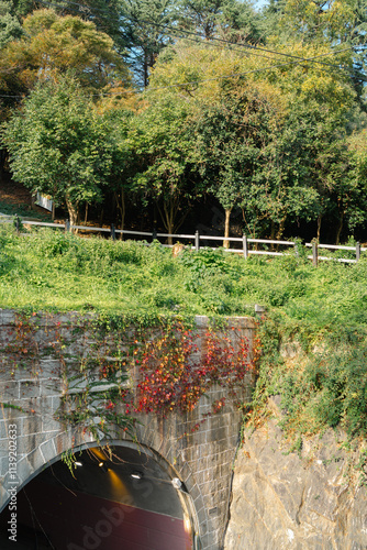 Obraz na płótnie Wolmyeong Park and Haemanggul Tunnel in Gunsan, Korea w salonie