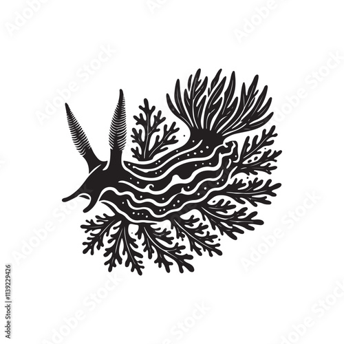 Aeolic Nudibranch  Silhouette Vector Illustration, Solid White Background.