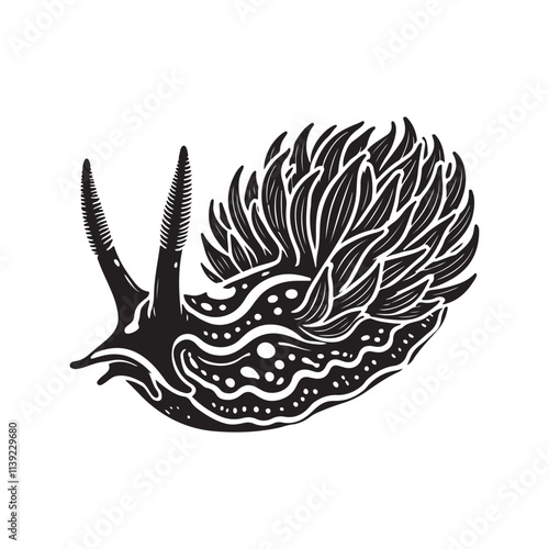 Aeolic Nudibranch  Silhouette Vector Illustration, Solid White Background.