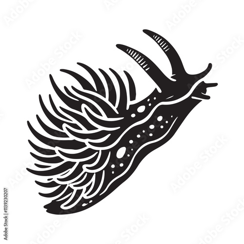 Aeolic Nudibranch  Silhouette Vector Illustration, Solid White Background.