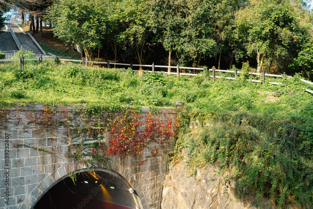 Wolmyeong Park and Haemanggul Tunnel in Gunsan, Korea