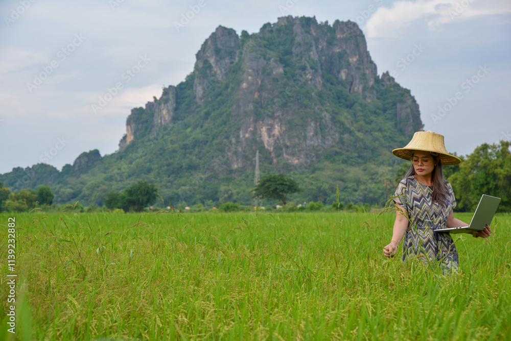 woman in straw hat uses laptop in lush green rice field with mountain backdrop, showcasing blend of technology and nature
