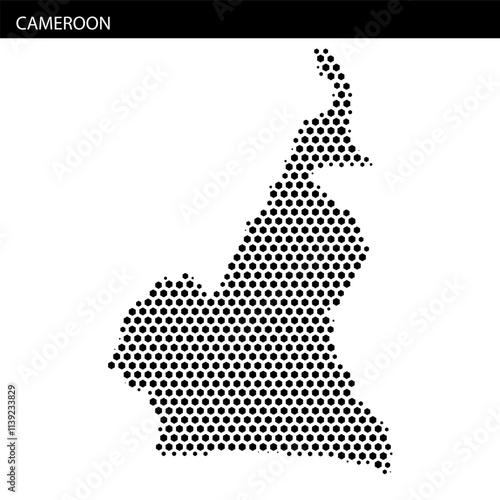 Outline map of Cameroon displaying geographical traits and regional divisions