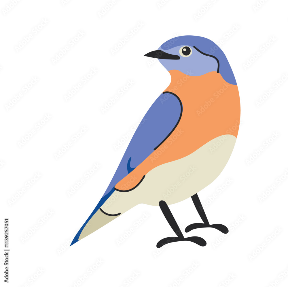 Obraz premium Eastern bluebird clipart avatar logotype isolated illustration