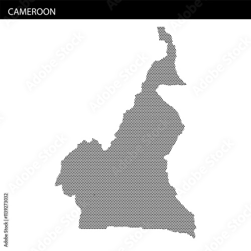 Outline map of Cameroon displaying geographical traits and regional divisions