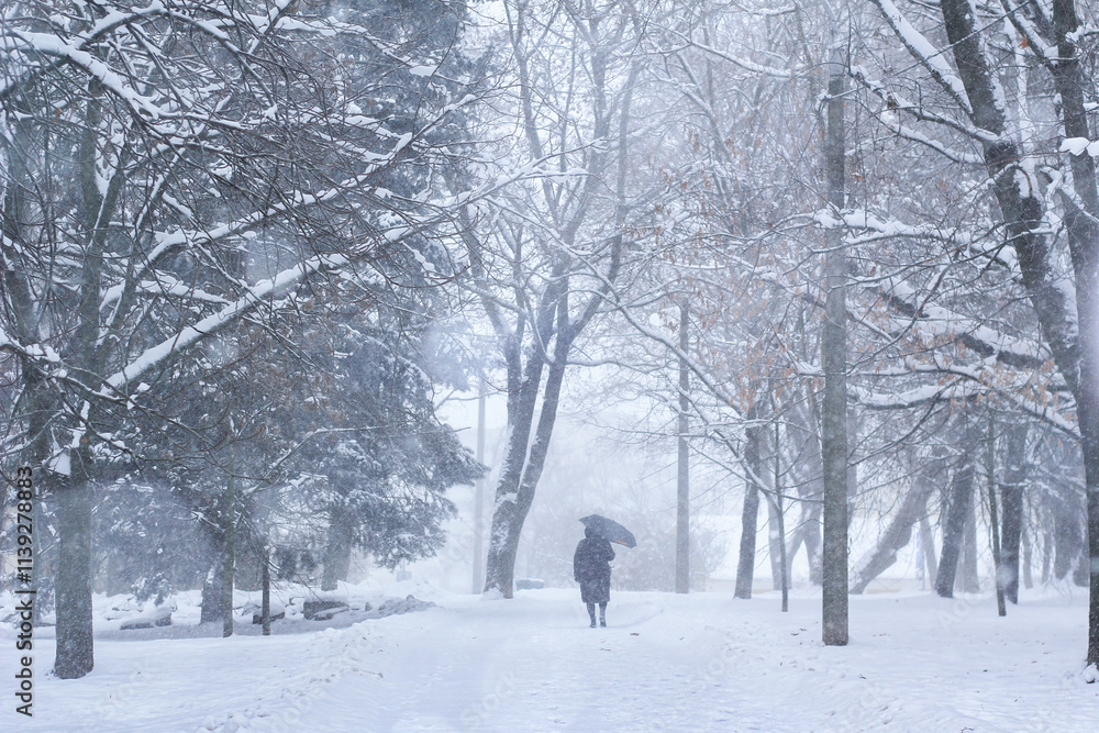 A man walks along. man park snowfall alley. Lots of snow on the sidewalk and tree branches. Snow drifts on the ground. Cold snowy winter weather. View of the snow-covered street in the city.