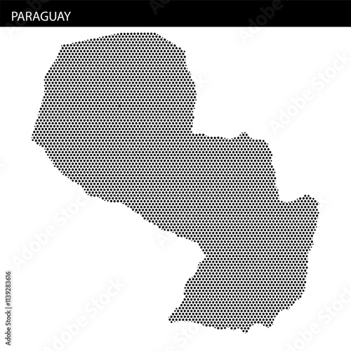 Map outline of Paraguay with hexagonal dotted pattern highlighting the country's shape